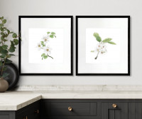 Apple Blossom II Botanical Flower Print - Framed