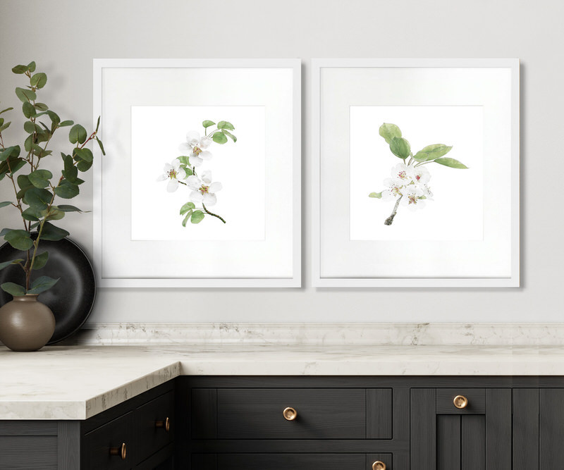 Apple Blossom I Botanical Flower Print - Framed