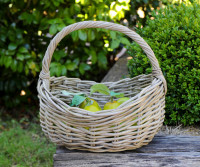 Martine Oval Carry Basket