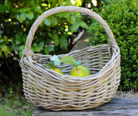 Martine Oval Carry Basket