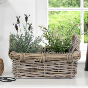 Small Daylesford Herb Rattan Basket / Caddy, woven storage basket