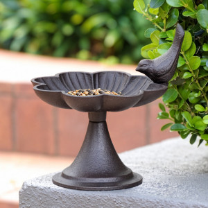 Close-up of Loville cast iron bird feeder with scalloped dish, bird detail and seed on a grey garden wall