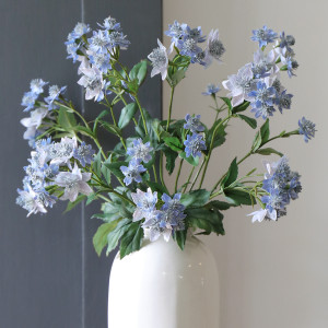 Set 3 Blue Meadow Star Flower Sprays - Astrantia