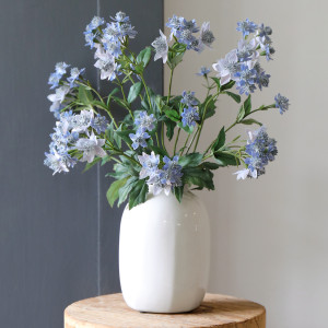 Set 3 Blue Meadow Star Flower Sprays - Astrantia