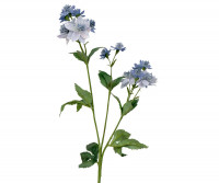Set 3 Blue Meadow Star Flower Sprays - Astrantia