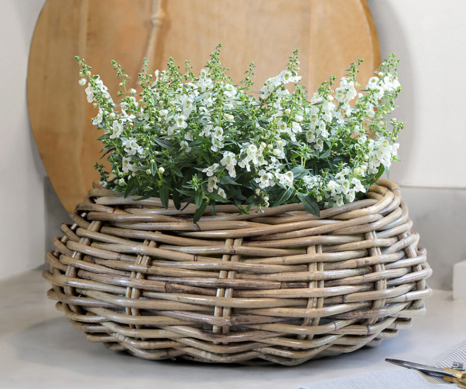 Amalfi Basket Bowl - Large Produce Bowl