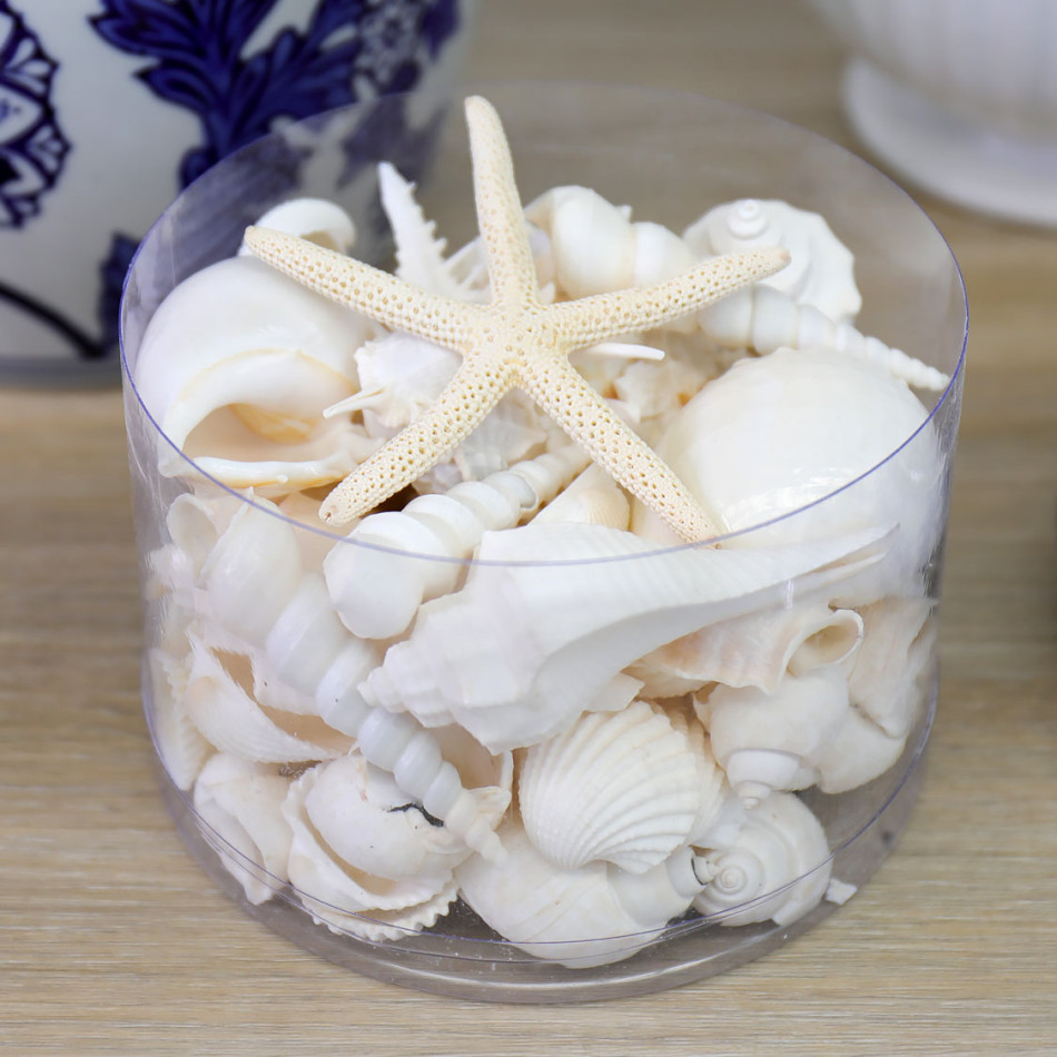Box of White Sea Shells - Small, indoor occasional table