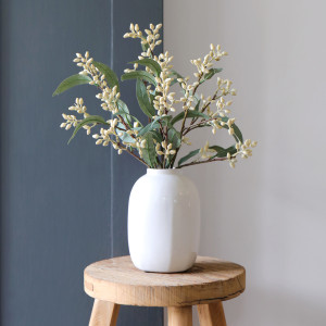 Set 3 Lytton Cream Bud Eucalyptus Stems, a decorative botanical stem or arrangement for styling in a vase