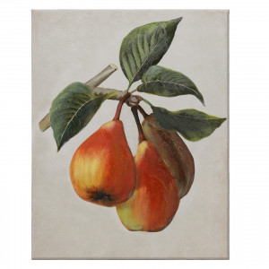 Orchard Pears Botanical Canvas Painting, decorative wall artwork for an interior display