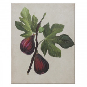 Orchard Figs Botanical Canvas Painting, decorative wall artwork for an interior display