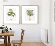 Les Palmiers II Palm Tree Wall Art Print