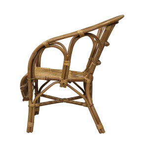 Rear three-quarter view showing the armchair’s curved cane frame