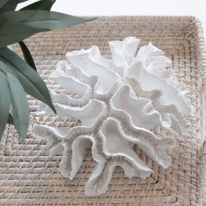 Large New Harbour Ribbon Coral, presented as a standalone item for straightforward product identification