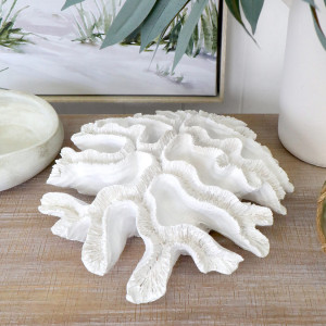 Large New Harbour Ribbon Coral, highlighting the product's distinctive form and defining design
