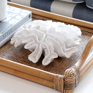 Large New Harbour Ribbon Coral, decorative tableware