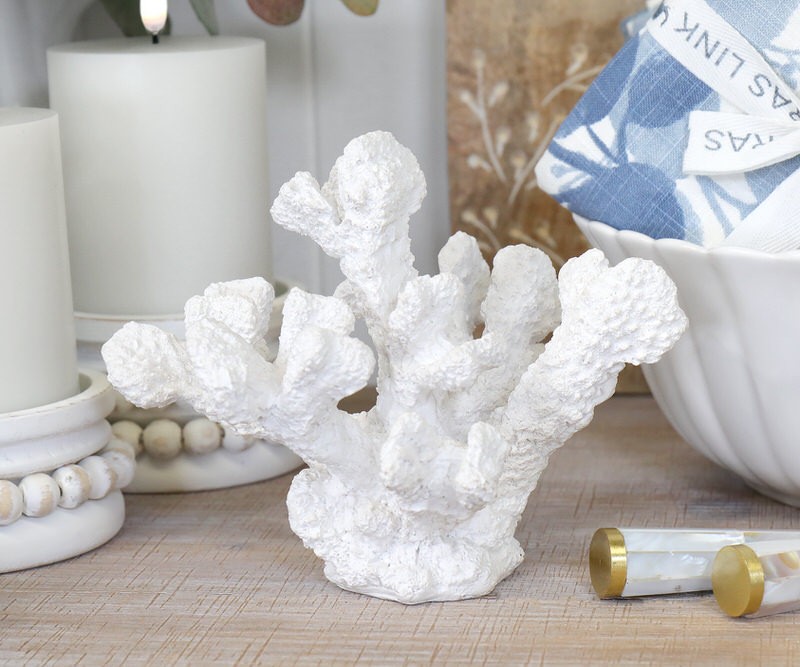 Palm Cove White Coral - Large
