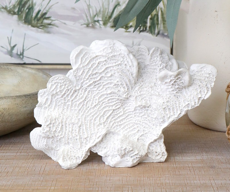 Palmetto White Fan Coral