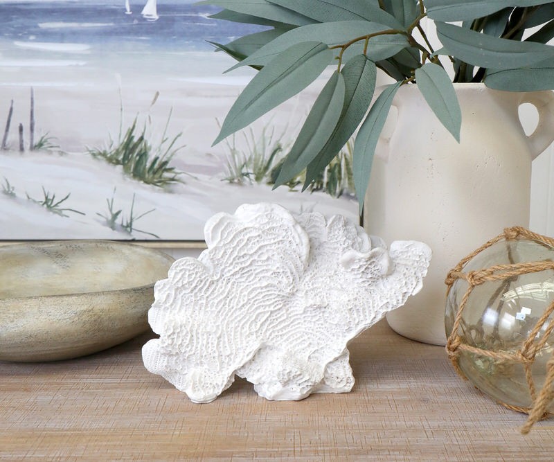 Palmetto White Fan Coral