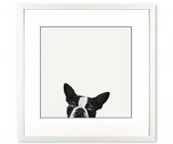 'Loyalty' Black & White Dog Art Print Framed