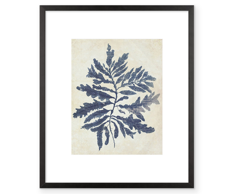 Indigo Seaweed II Blue Watercolour Wall Art Print