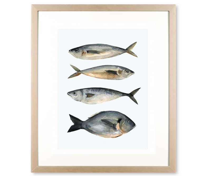 Large Four Fish I Art Print Framed