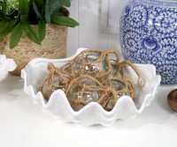 Large Clam Shell Bowl White Ceramic