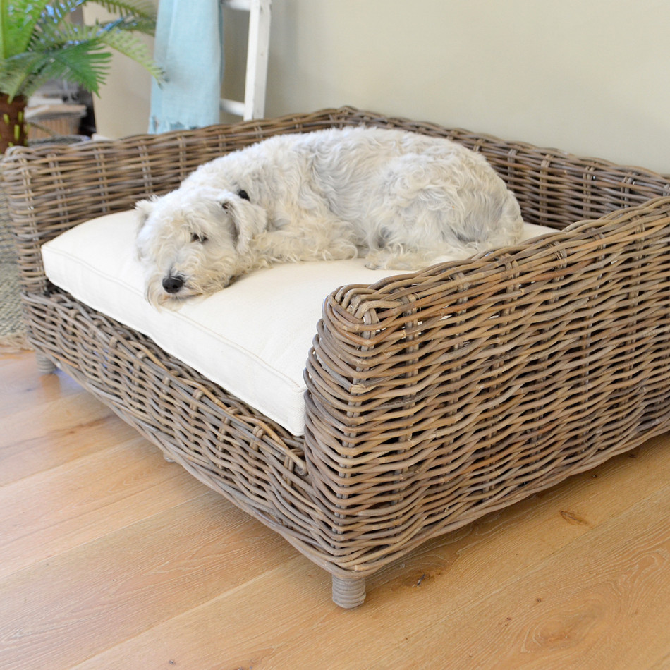 Small white dog curled up on the cream cushion inside the woven rattan dog bed