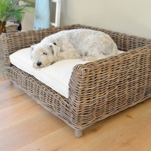 Small white dog curled up on the cream cushion inside the woven rattan dog bed
