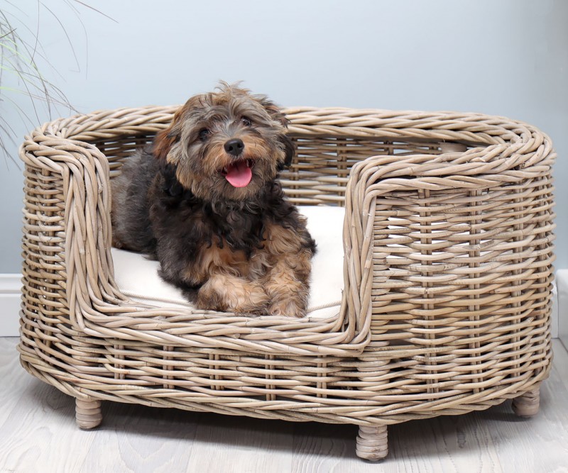 Cane Rattan Dog Bed Large with Cushion