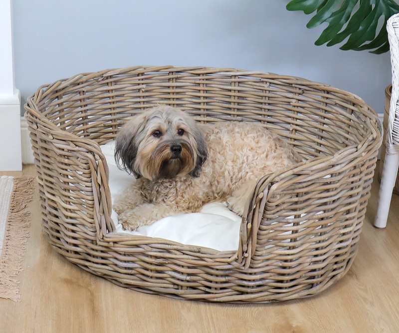 Dog Beds Australia atelieryuwa.ciao.jp