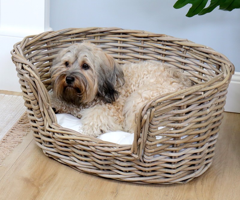 Stanton Rattan Dog Bed Small Clearance Sale at French Knot