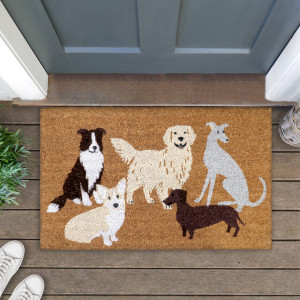 Five-dog coir doormat at a blue-grey door, styled with greenery, a woven basket and white shoes