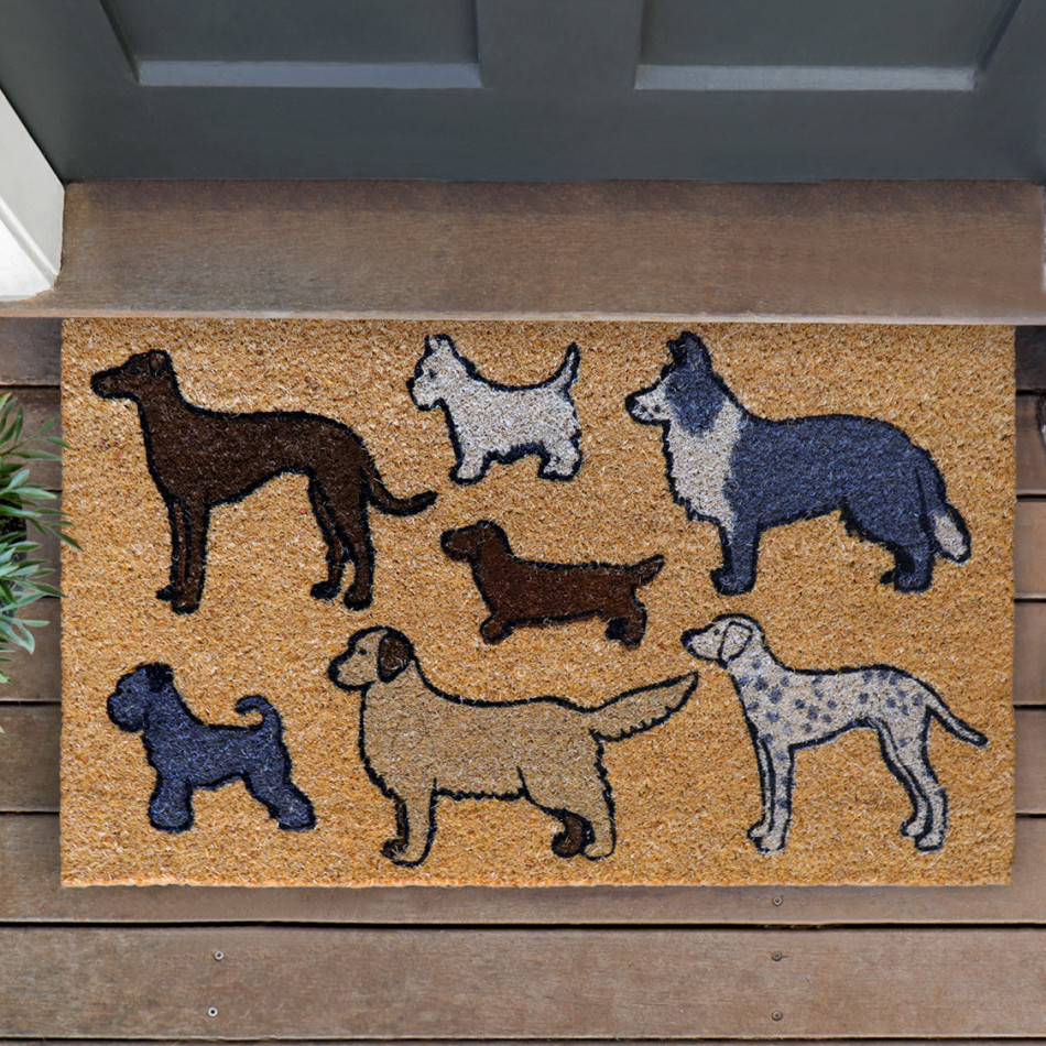 Dog Park Regular Doormat - 75x45cm