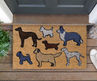 Dog Park Regular Doormat - 75x45cm