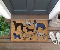 Dog Park Regular Doormat - 75x45cm
