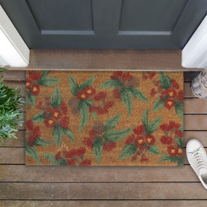 Red eucalyptus coir doormat at a dark grey door with a potted plant and white sneaker