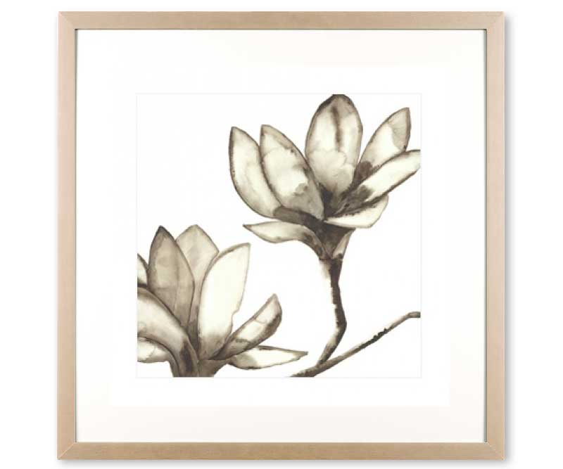 Watercolour Magnolia IV Art Print Framed