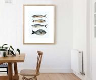 Large Four Fish I Art Print Framed