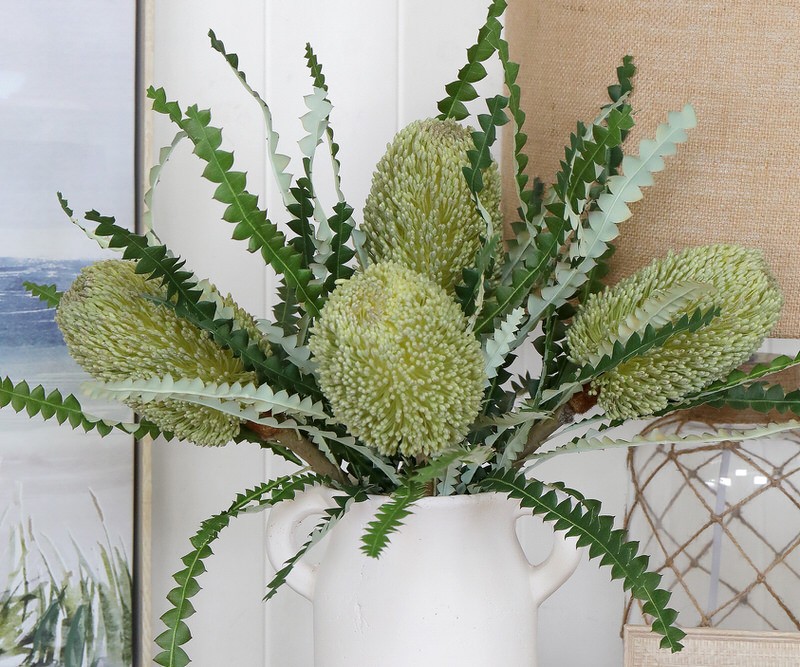 Cartwright Large Soft Green Banksia Flower - Single Stem