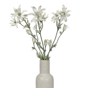 Set 3 Flannel Flower Stems