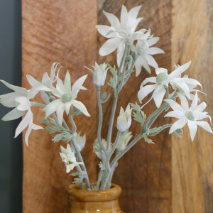 Set 3 Flannel Flower Stems
