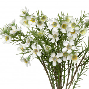 Morning Pearl Wax Flower Spray, a decorative botanical stem or arrangement for styling in a vase