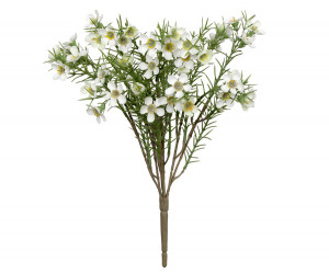 Morning Pearl Wax Flower Spray