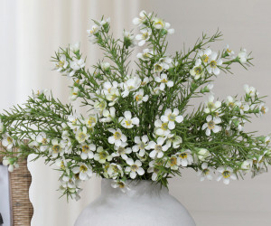 Morning Pearl Wax Flower Spray