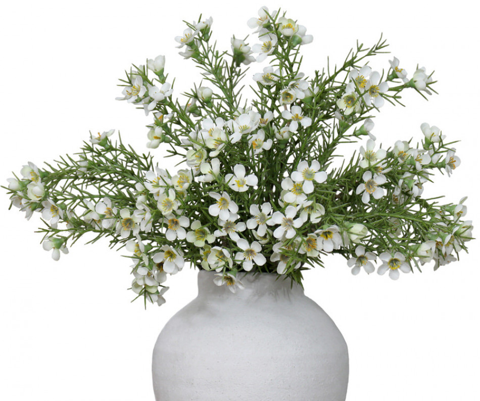 Morning Pearl Wax Flower Spray