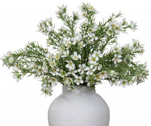 Morning Pearl Wax Flower Spray