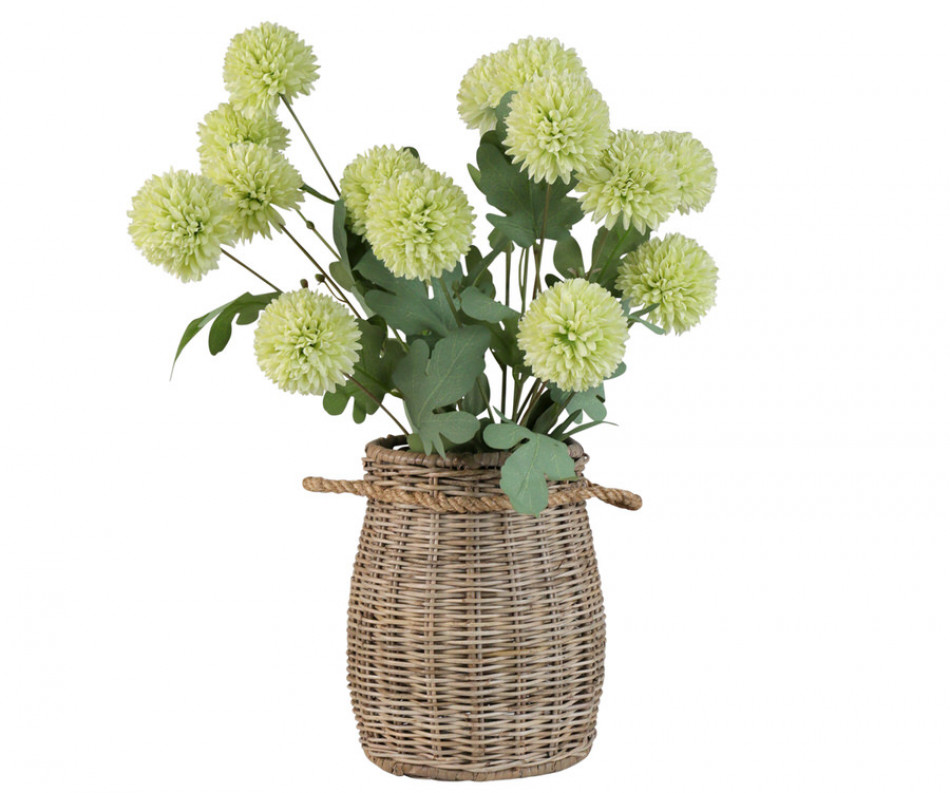 Set 5 Green Kiku Chrysanthemum Stems