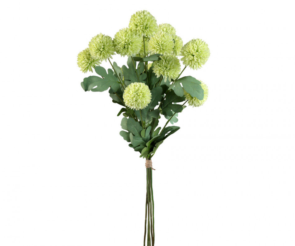 Set 5 Green Kiku Chrysanthemum Stems