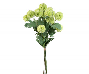Set 5 Green Kiku Chrysanthemum Stems