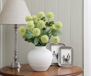 Set 5 Green Kiku Chrysanthemum Stems